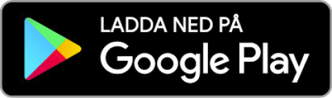play-google